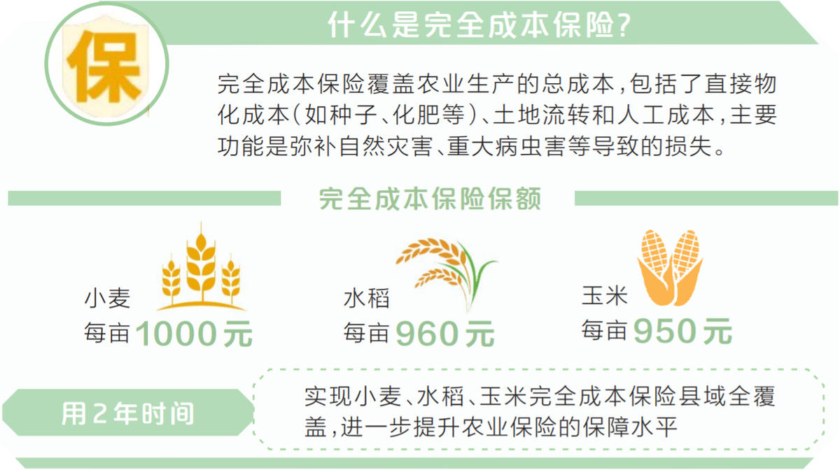 减轻种粮负担“旱涝保收”不难 我省为小麦水稻玉米上“全险”